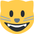 Grinning cat face