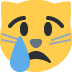 Crying cat face